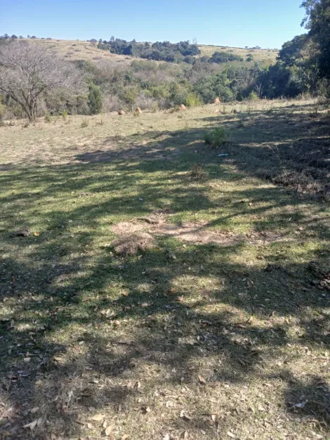 imagem 5 - Área à venda em Bacaetava - Iperó imagem 5 - Área à venda em Bacaetava - Iperó